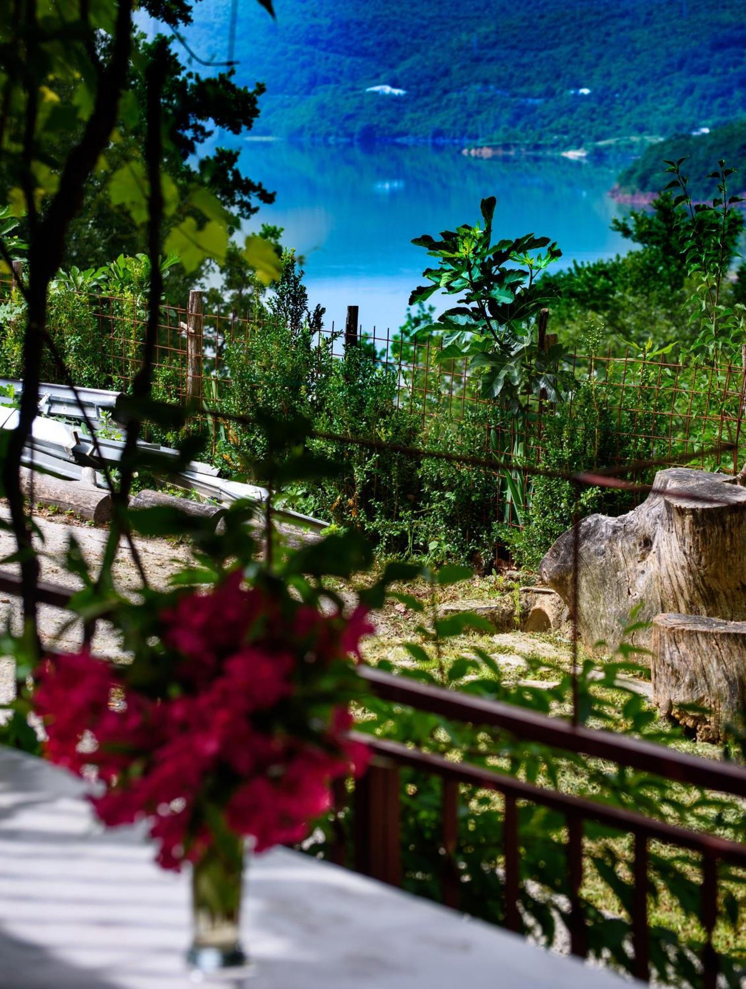 Apartments Cvitini Dvori Garjak Vrlika Esterno foto
